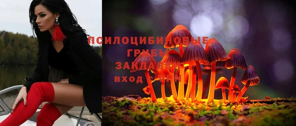 сатива Лабытнанги