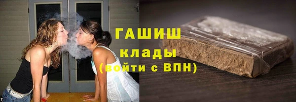 сатива Лабытнанги