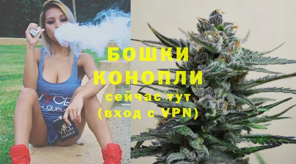 сатива Лабытнанги
