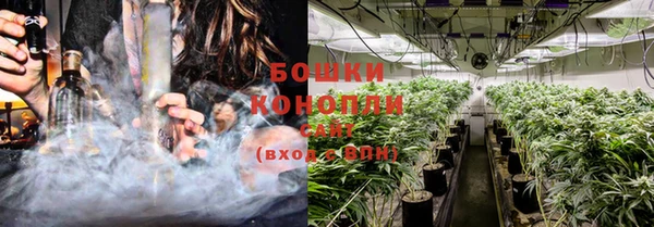 PSILOCYBIN Лихославль