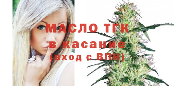 сатива Лабытнанги