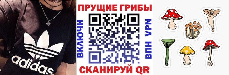 наркошоп  KRAKEN ссылка  Псилоцибиновые грибы мицелий  Палласовка 